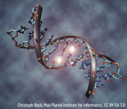 DNA