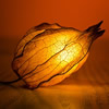 Life, light, meaning