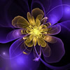 Astrohology
