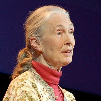 Jane Goodall