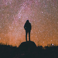 cosmos